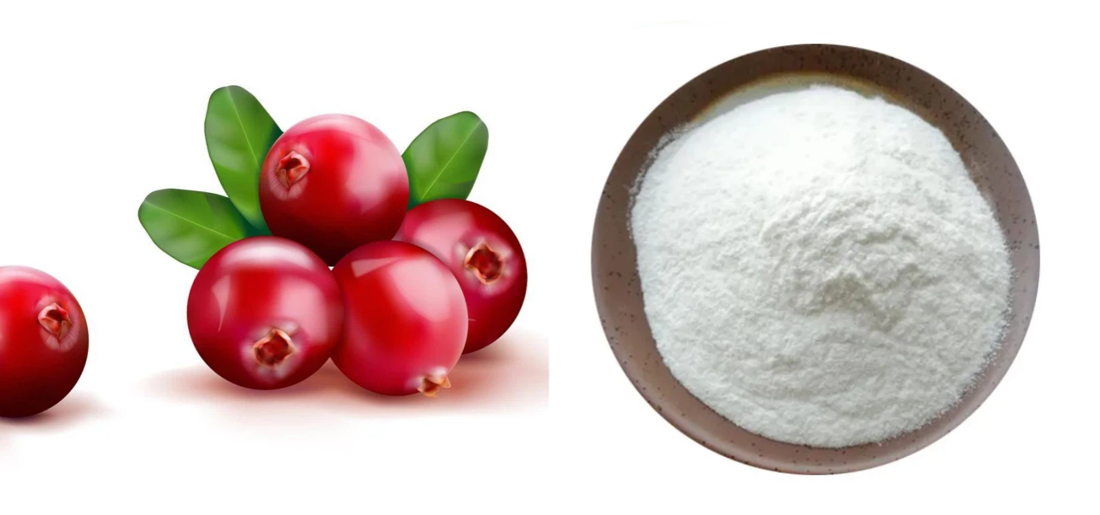 product-1600-750 product-1600-750